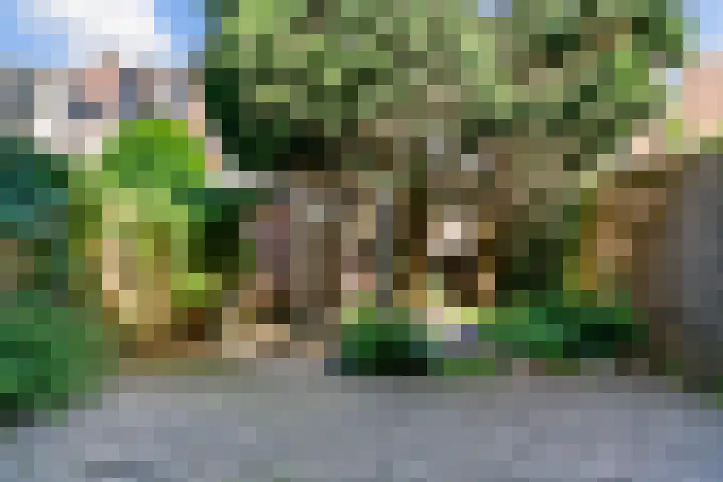 Vondellaan 23 Utrecht thumbnail 24