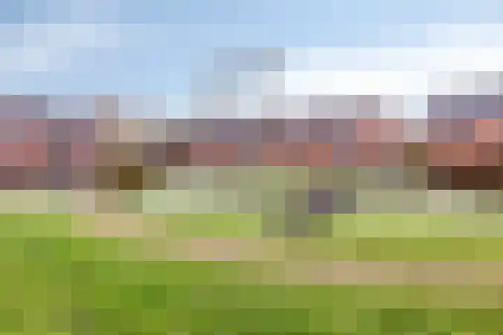 Vondellaan 23 Winschoten thumbnail 37