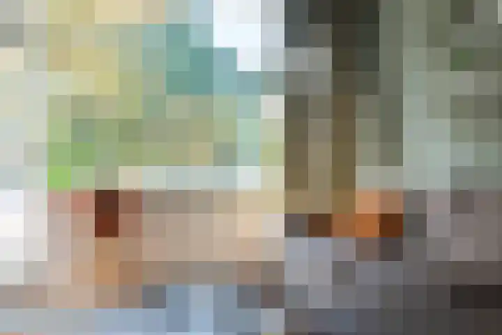 Vondellaan 230 Groningen thumbnail 18