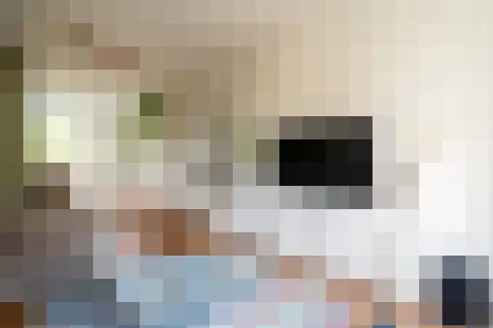 Vondellaan 230 Groningen thumbnail 23