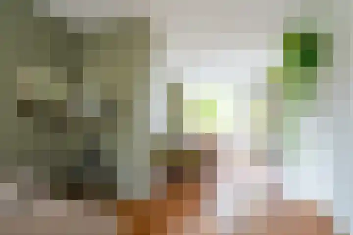 Vondellaan 230 Groningen thumbnail 27