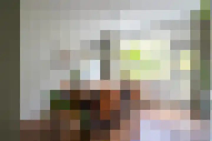Vondellaan 230 Groningen thumbnail 28