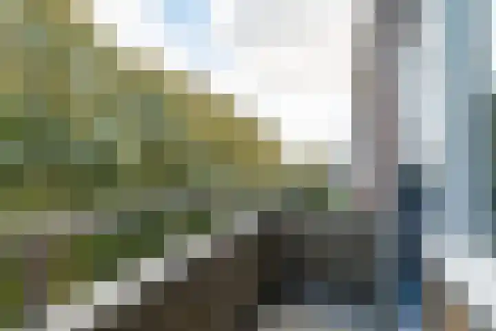 Vondellaan 230 Groningen thumbnail 31