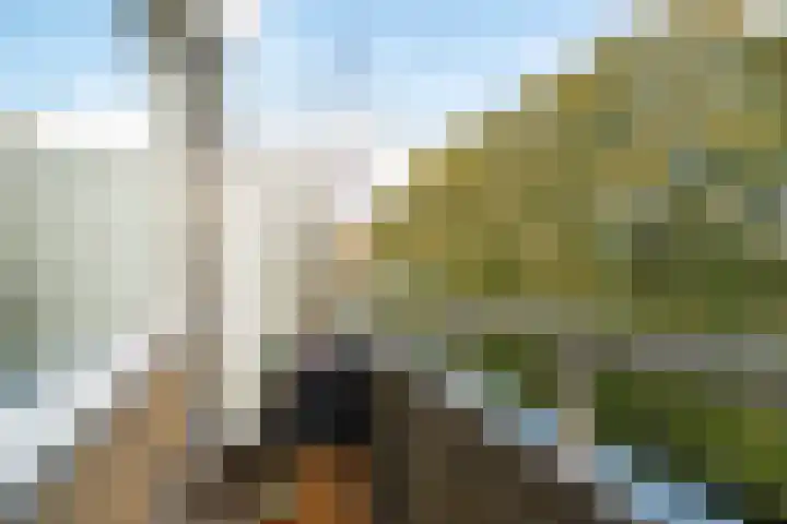 Vondellaan 230 Groningen thumbnail 32