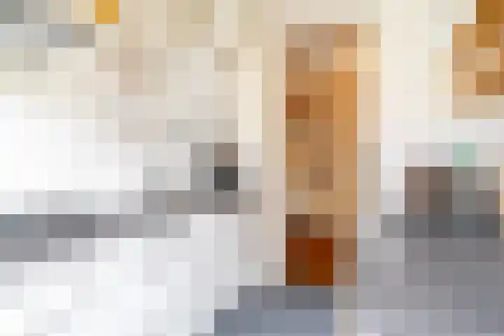 Vondellaan 230 Groningen thumbnail 35