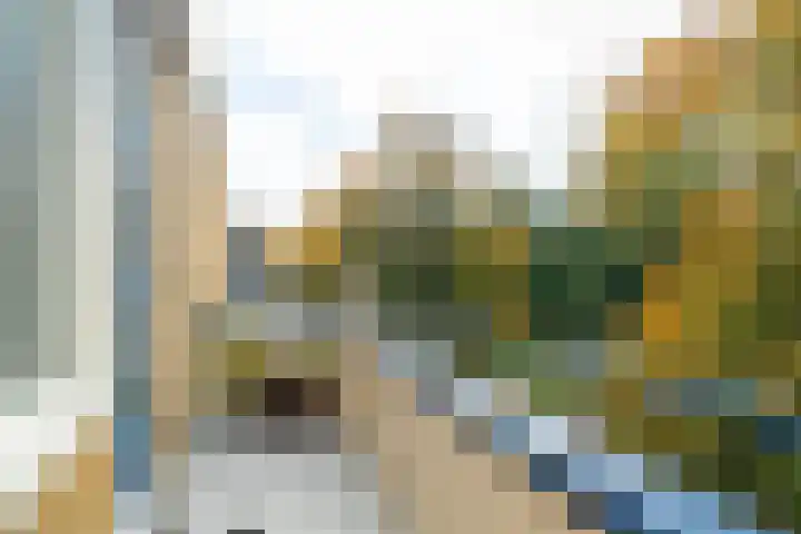 Vondellaan 230 Groningen thumbnail 39