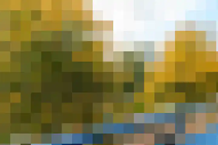 Vondellaan 230 Groningen thumbnail 41