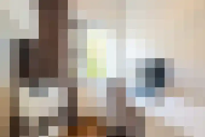 Vondellaan 230 Groningen thumbnail 49