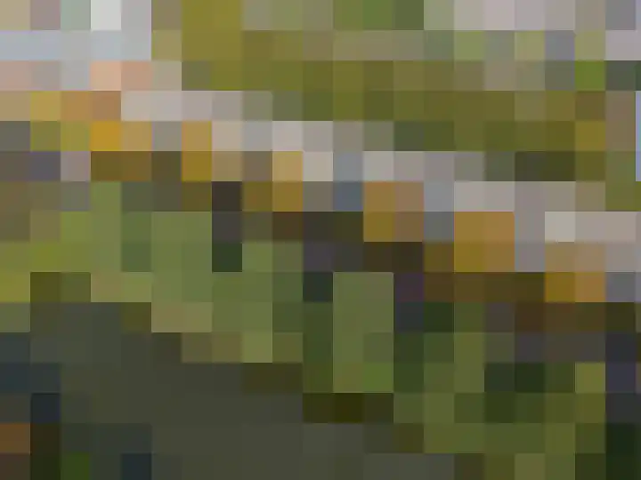 Vondellaan 230 Groningen thumbnail 51