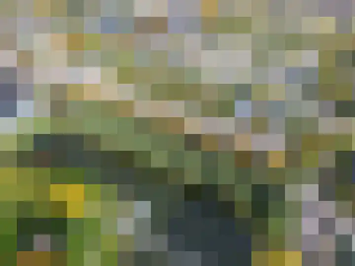 Vondellaan 230 Groningen thumbnail 52