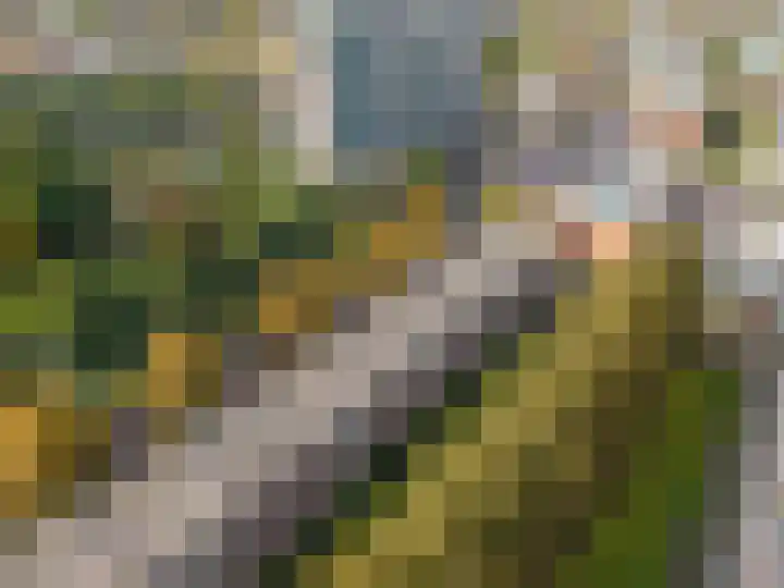 Vondellaan 230 Groningen thumbnail 53