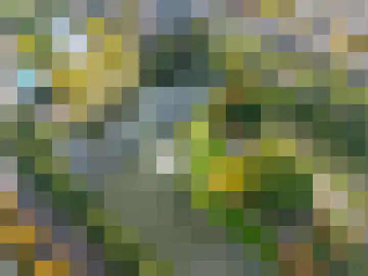 Vondellaan 230 Groningen thumbnail 54