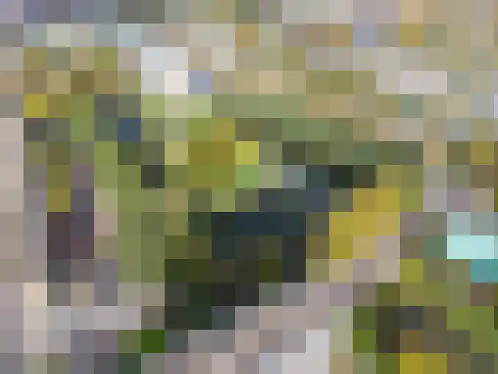 Vondellaan 230 Groningen thumbnail 55