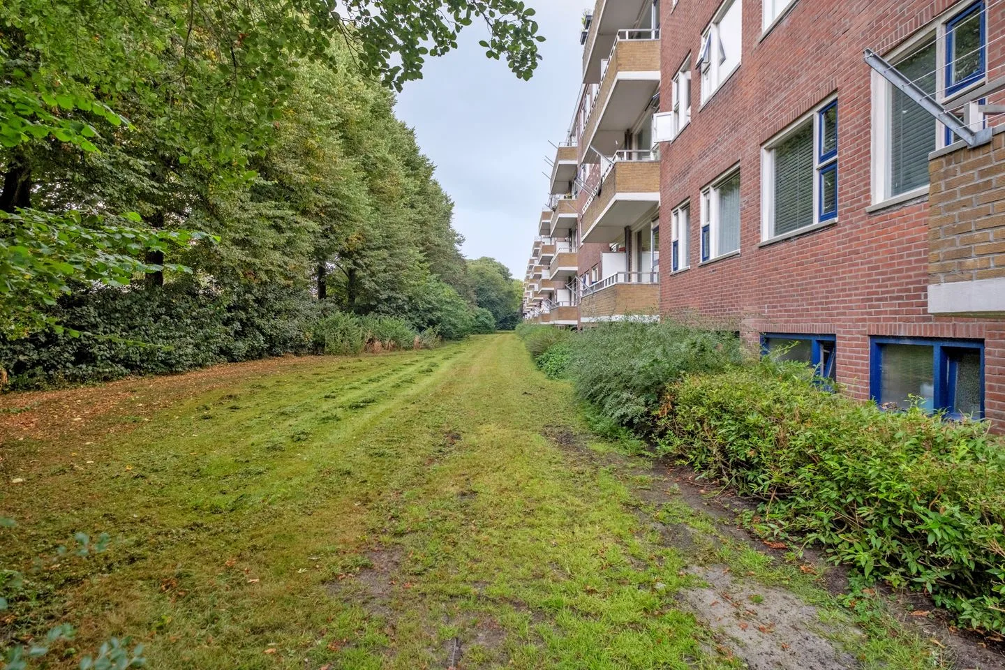 Vondellaan 232 Groningen thumbnail 34
