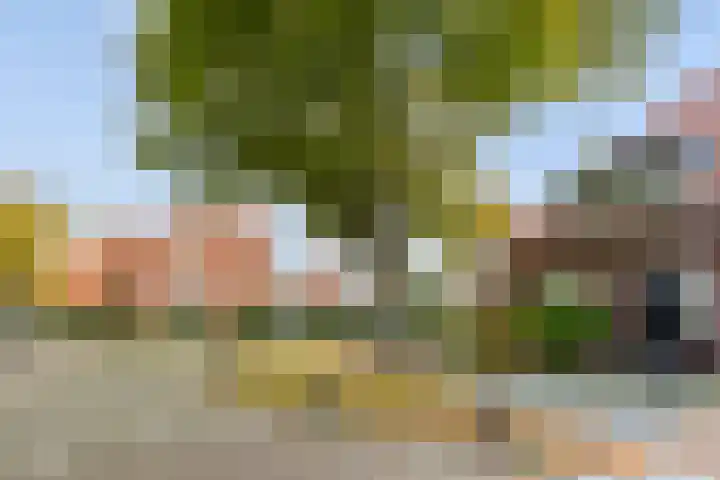 Vondellaan 24 Bergen op Zoom thumbnail 4