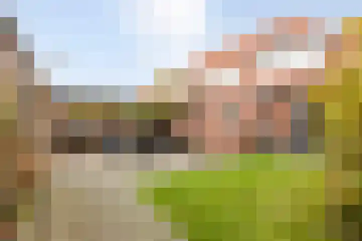 Vondellaan 24 Bergen op Zoom thumbnail 41