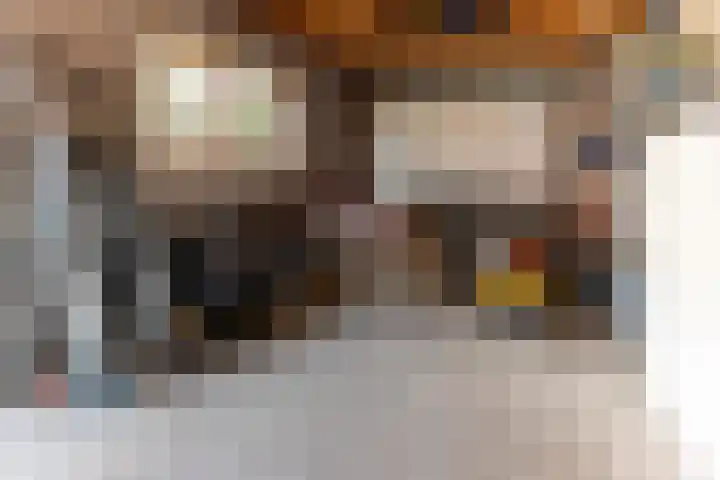 Vondellaan 24 Bergen op Zoom thumbnail 46
