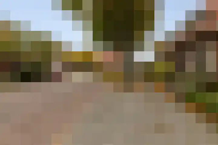 Vondellaan 24 Bergen op Zoom thumbnail 48