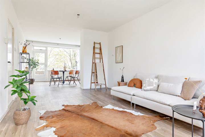 Vondellaan 248 in Groningen photo