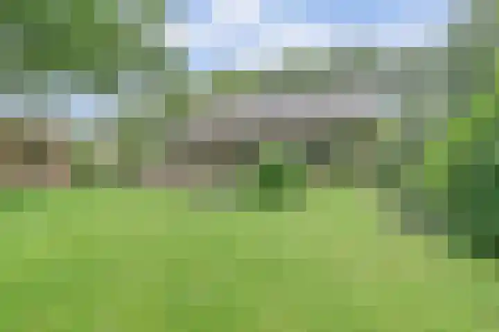 Vondellaan 25 Ermelo thumbnail 38