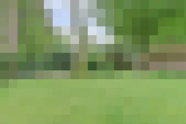 Vondellaan 25 Ermelo thumbnail 39