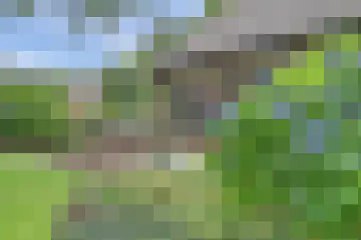 Vondellaan 25 Ermelo thumbnail 40