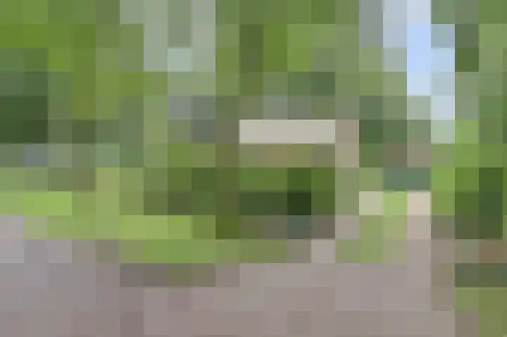 Vondellaan 25 Ermelo thumbnail 8