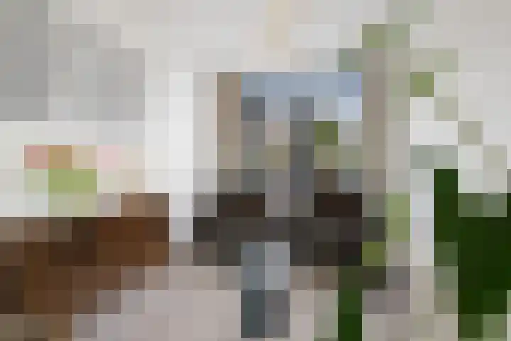 Vondellaan 25 Etten-Leur thumbnail 10