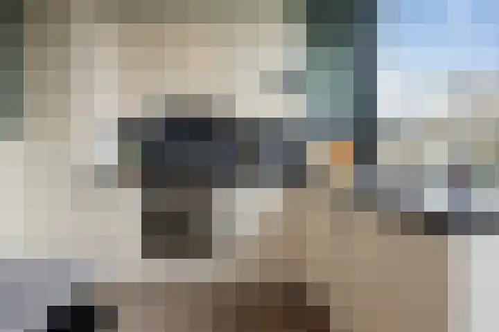 Vondellaan 25 Etten-Leur thumbnail 14