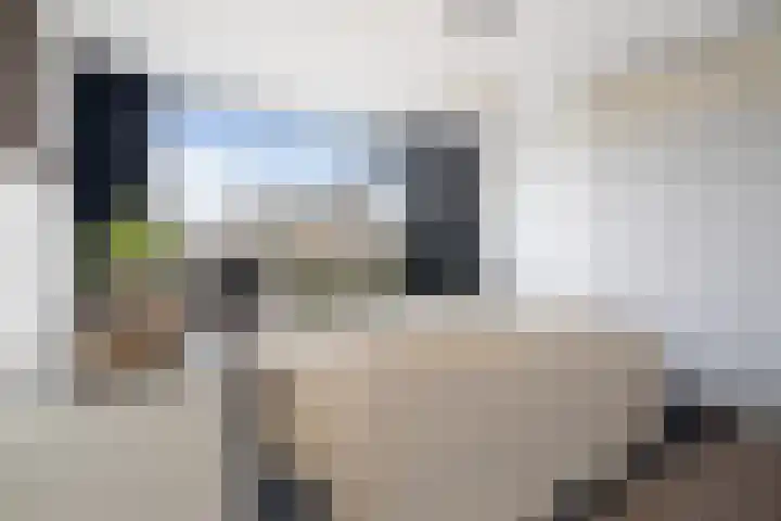 Vondellaan 25 Etten-Leur thumbnail 18
