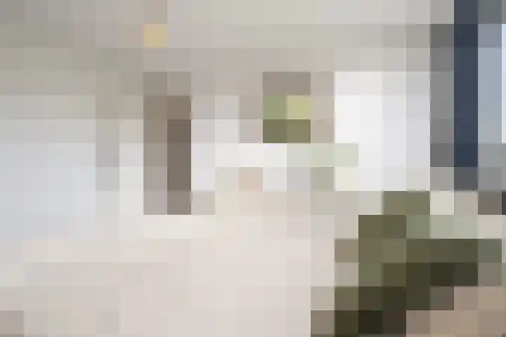 Vondellaan 25 Etten-Leur thumbnail 19