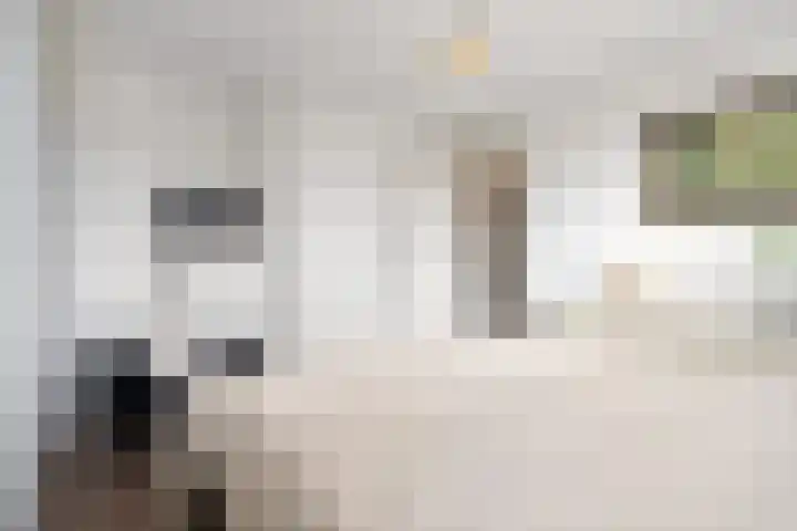 Vondellaan 25 Etten-Leur thumbnail 20