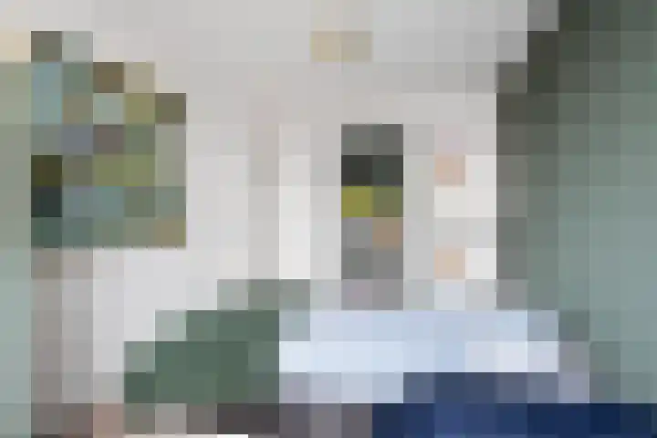 Vondellaan 25 Etten-Leur thumbnail 24