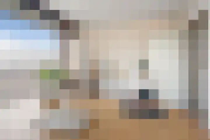 Vondellaan 25 Etten-Leur thumbnail 30