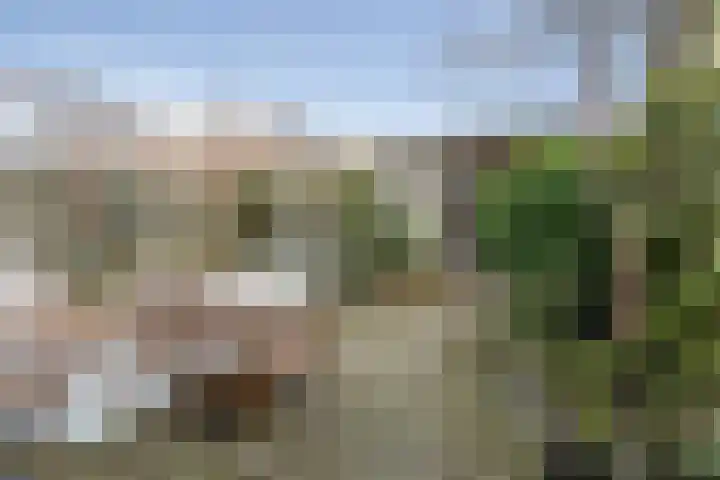 Vondellaan 25 Etten-Leur thumbnail 34