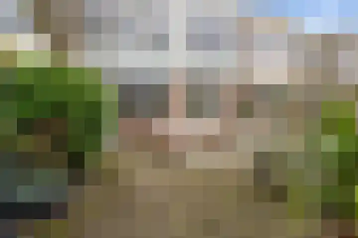 Vondellaan 25 Etten-Leur thumbnail 37