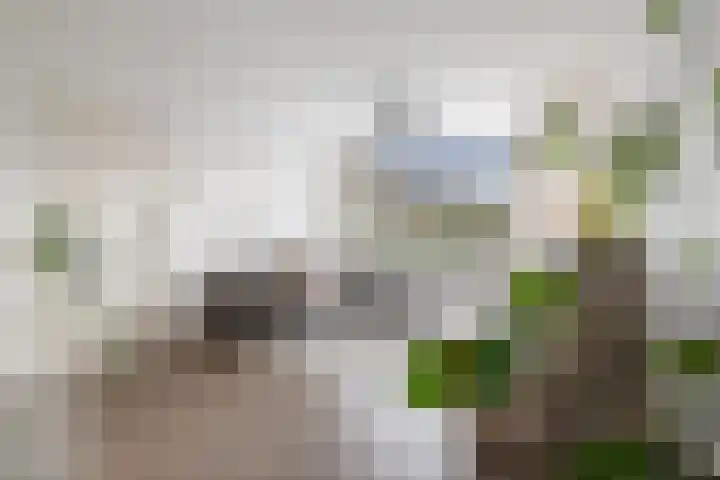 Vondellaan 25 Etten-Leur thumbnail 7