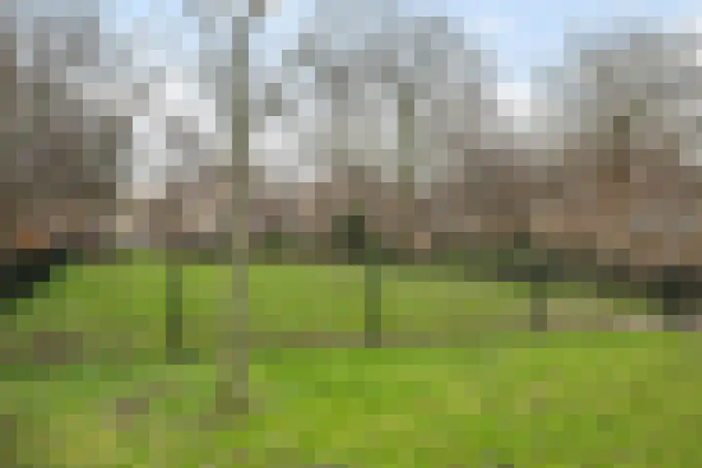 Vondellaan 25 's-Gravenzande thumbnail 29