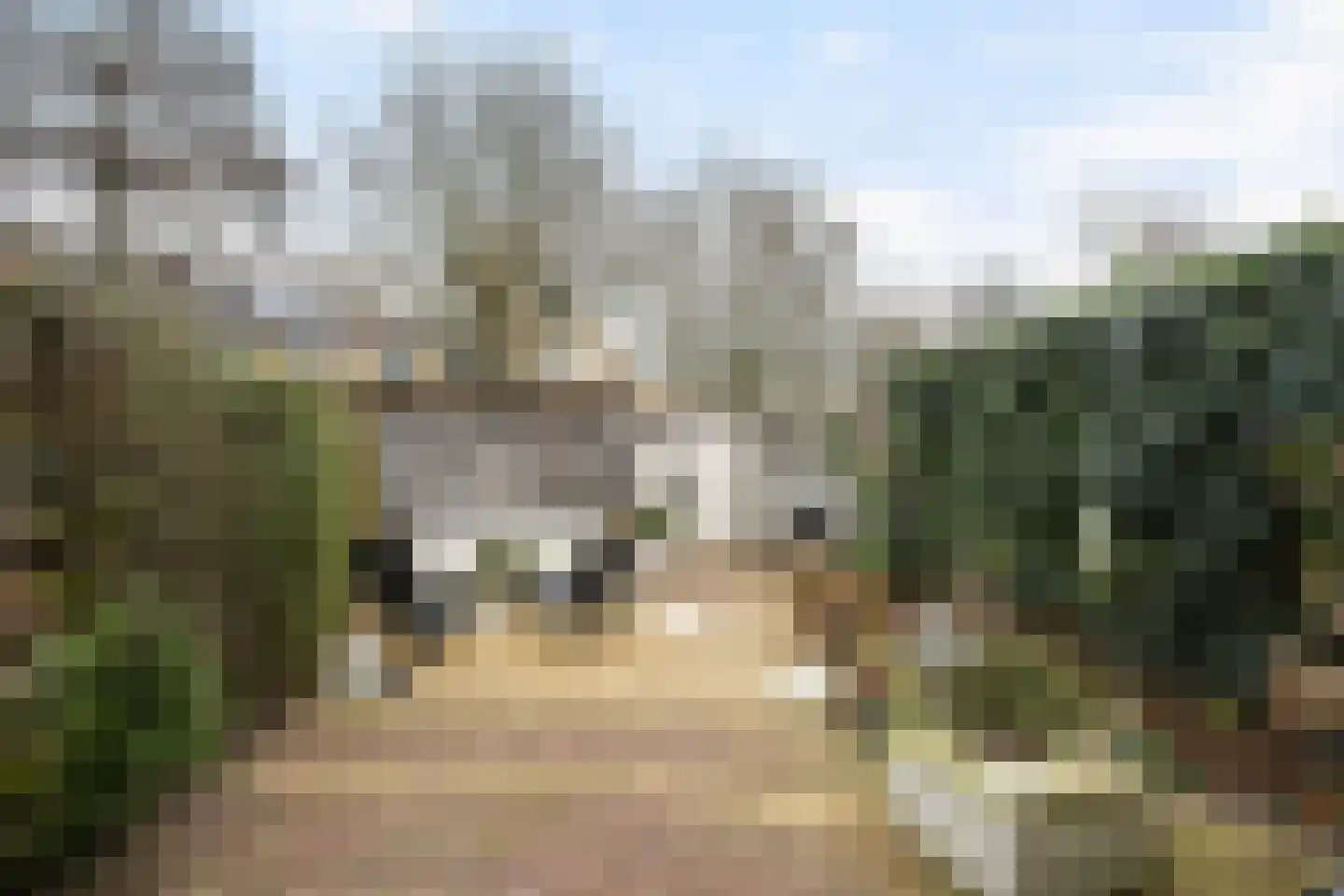 Vondellaan 25 's-Gravenzande thumbnail 6