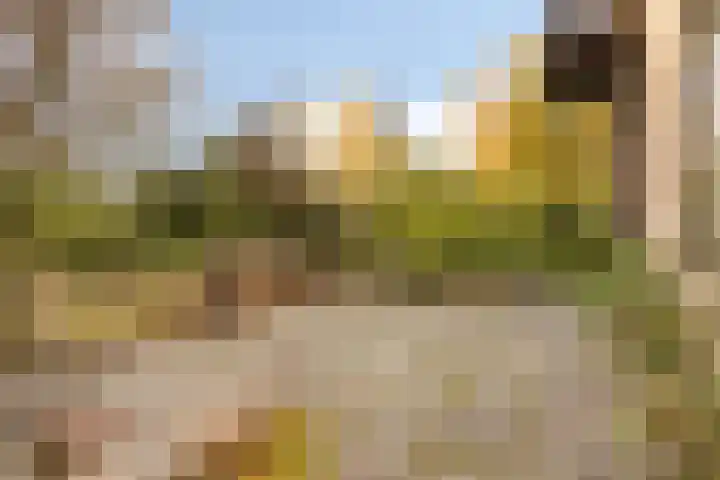 Vondellaan 26 Roosendaal thumbnail 37