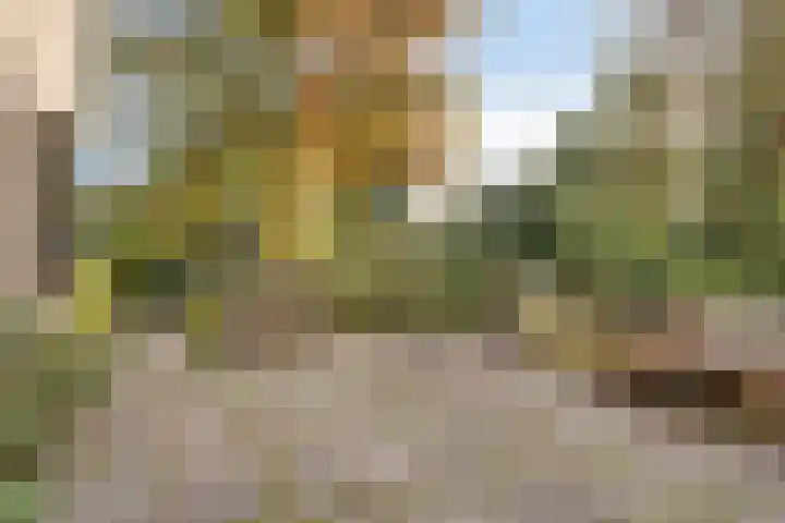 Vondellaan 26 Roosendaal thumbnail 39