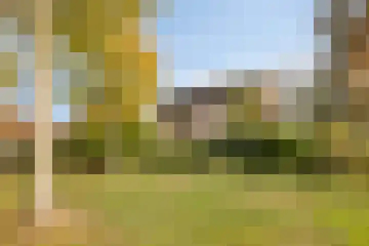 Vondellaan 26 Roosendaal thumbnail 44