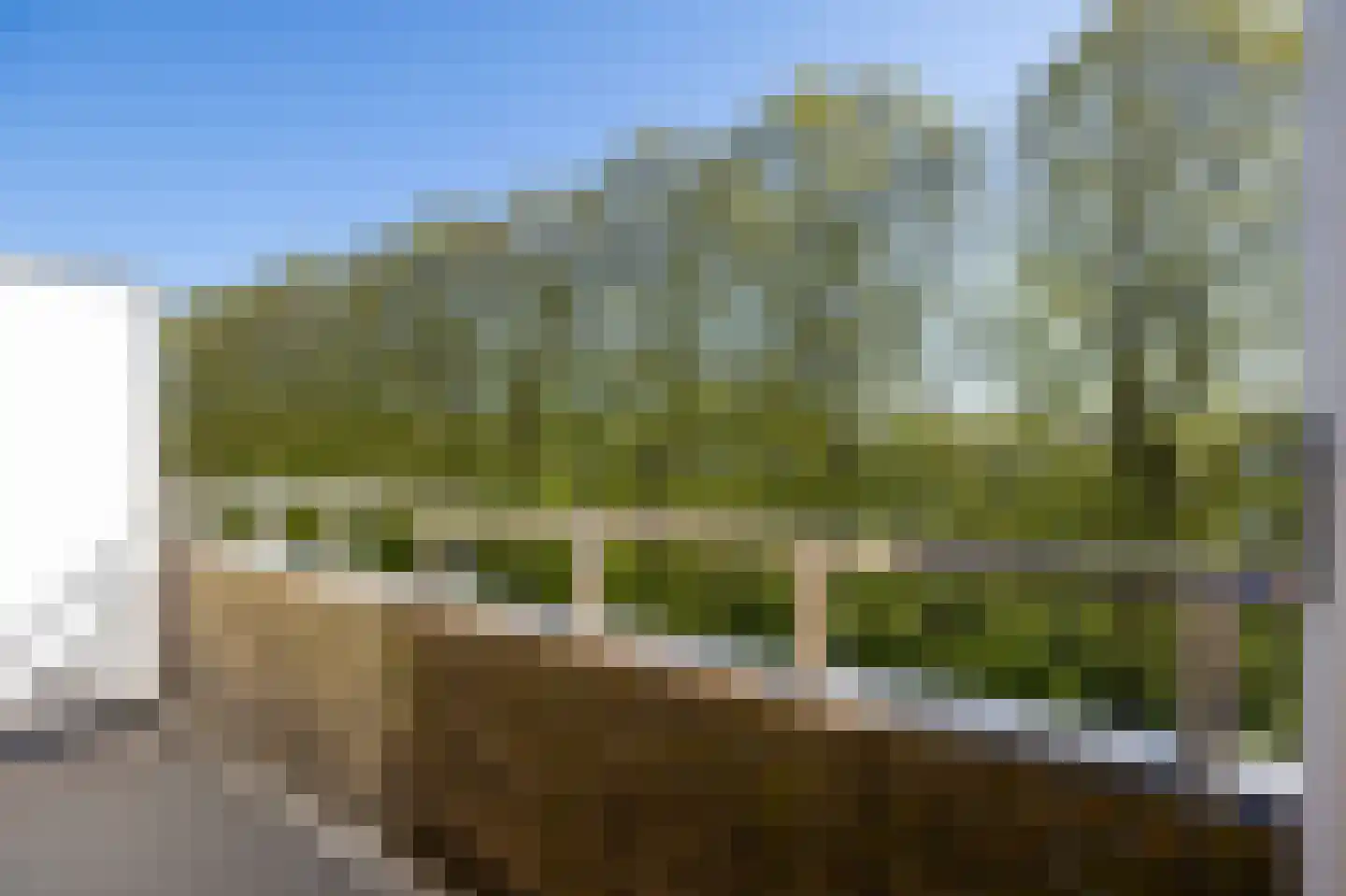 Vondellaan 262 Groningen thumbnail 15