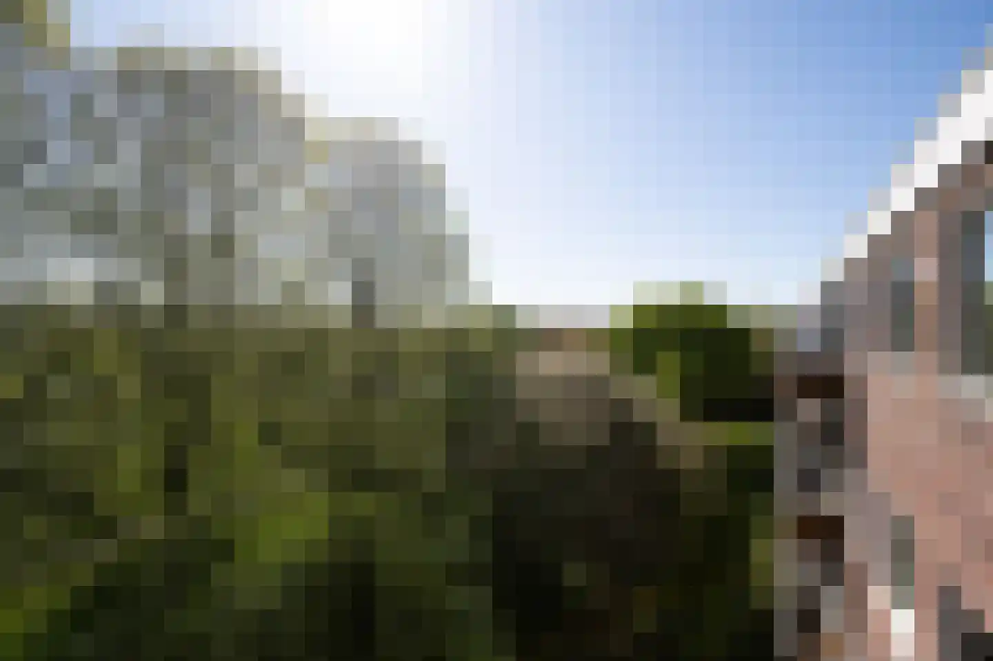 Vondellaan 262 Groningen thumbnail 16