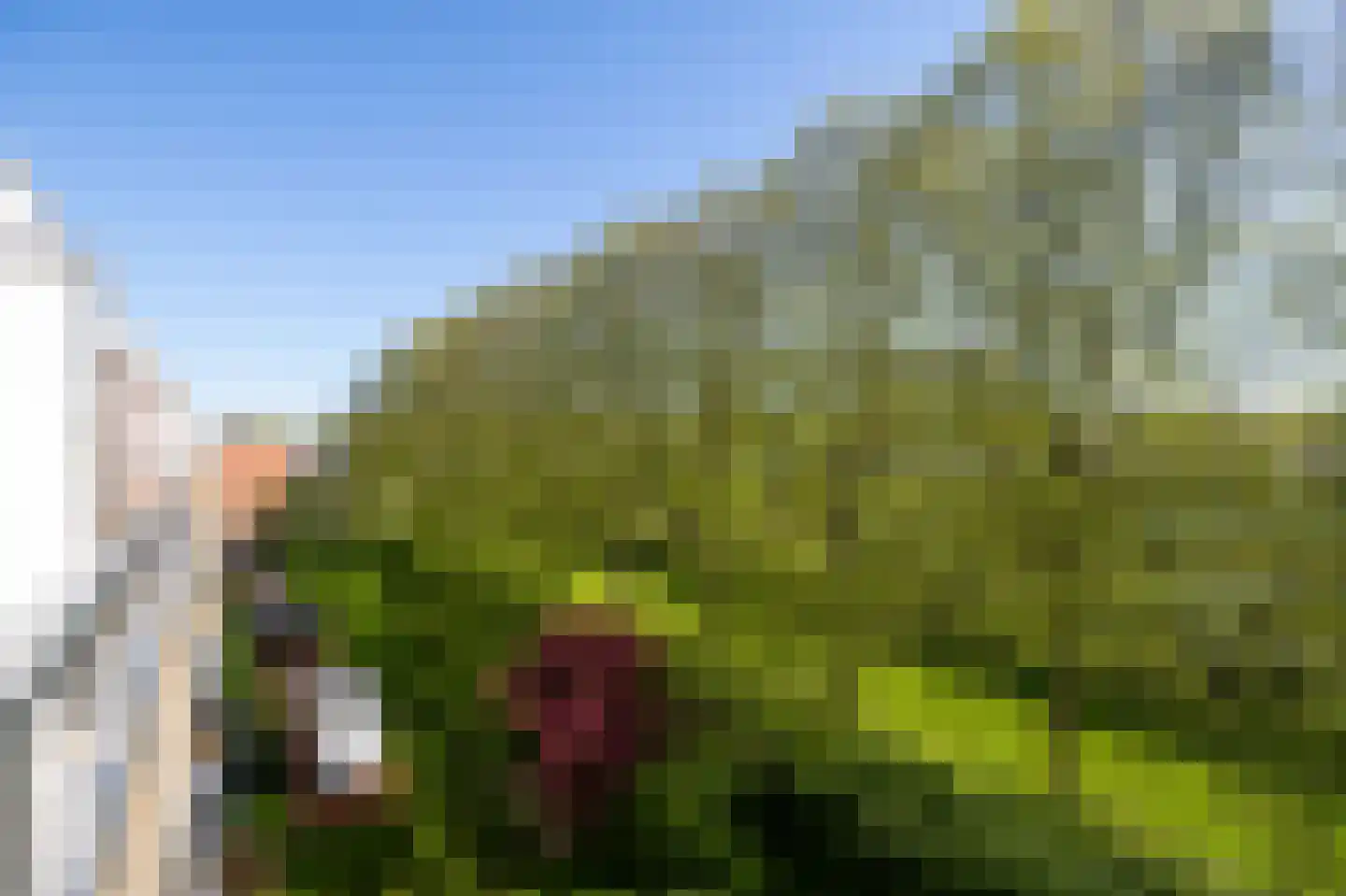 Vondellaan 262 Groningen thumbnail 17
