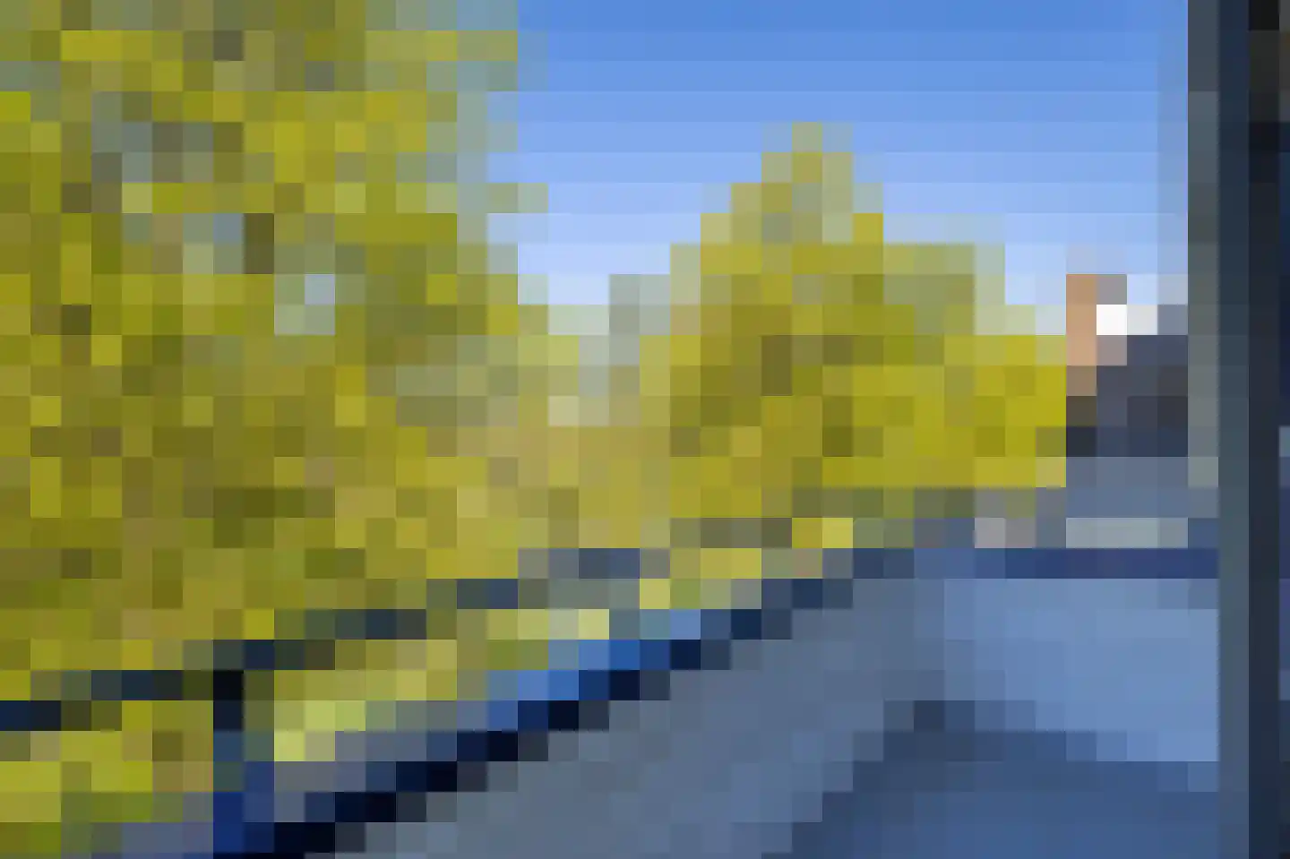 Vondellaan 262 Groningen thumbnail 5