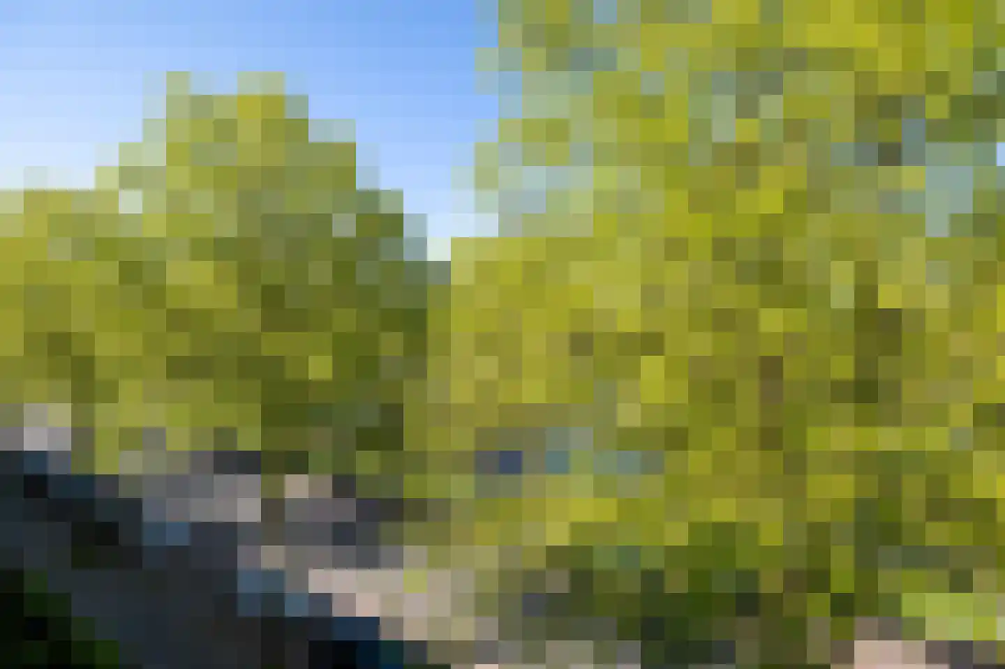 Vondellaan 262 Groningen thumbnail 7