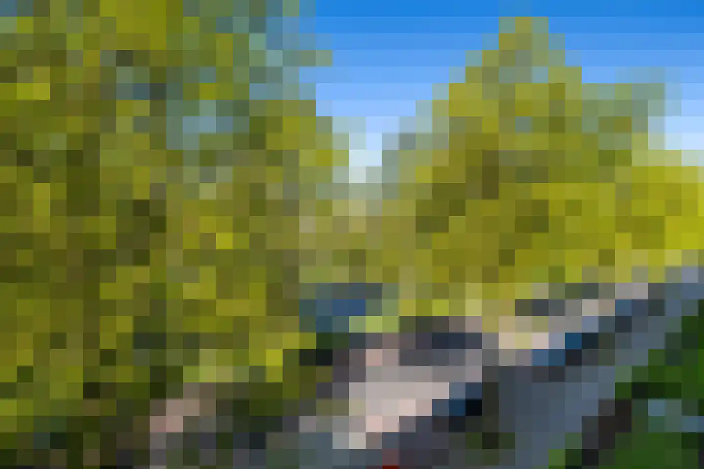 Vondellaan 262 Groningen thumbnail 8