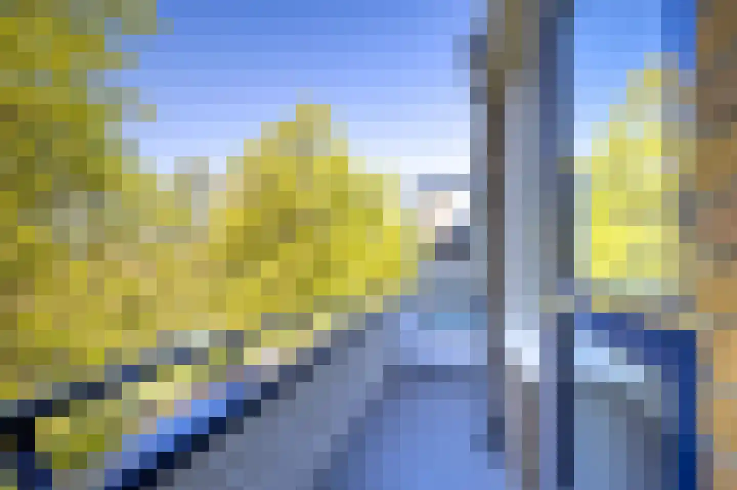 Vondellaan 262 Groningen thumbnail 9