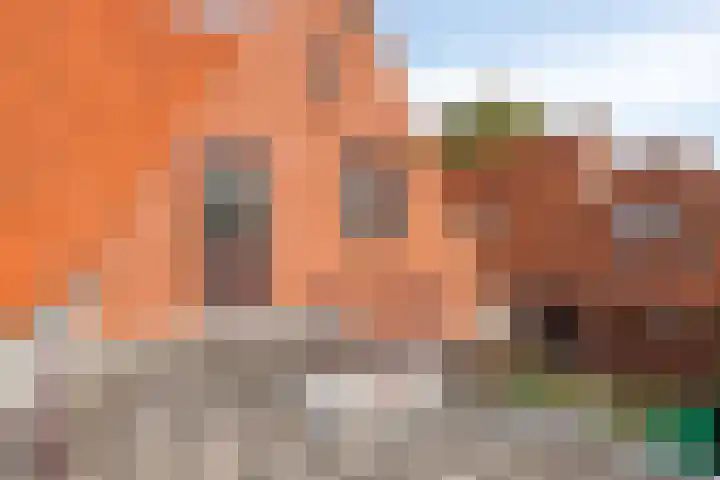 Vondellaan 28 Bergen op Zoom thumbnail 21